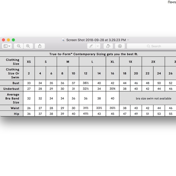 VENUS NWOT Lace Up Detail Sweater Brown - Picture 4 of 8